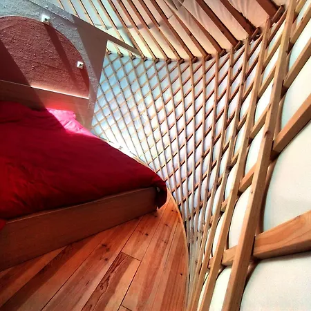 Le Camelia Brugelette