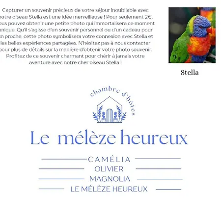 Le Camélia *