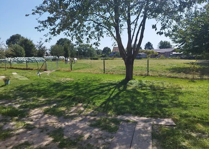 Le Camelia * Brugelette